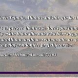 Të Ndryshme (35)