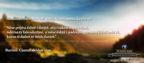 Të Ndryshme (16).png