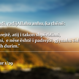 Të Ndryshme (16)