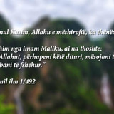 Të Ndryshme (29)