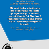 Të Ndryshme (42)
