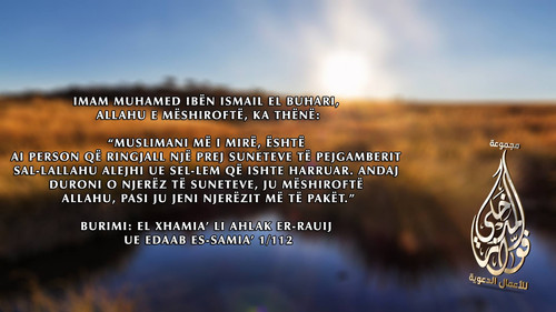 Të Ndryshme (51)