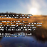 Të Ndryshme (51)