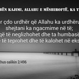 Të Ndryshme (32)