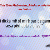 Të Ndryshme (18)