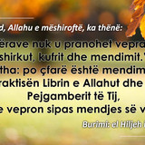 Të Ndryshme (22)