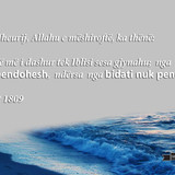 Të Ndryshme (24)