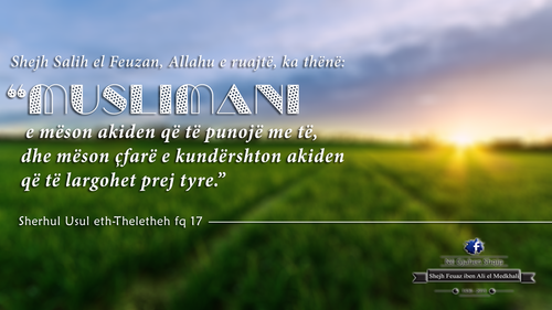 Të Ndryshme (21).png