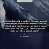 Lutjet e Profetëve (4)