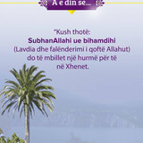 A e din se .... (3)