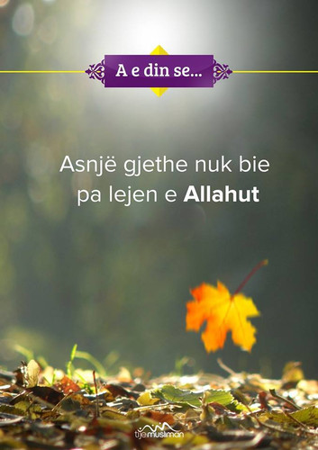 A e din se .... (8).jpg