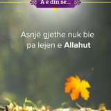 A e din se .... (8)