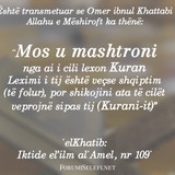 Të Ndryshme (65)