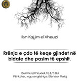 Indeksi ISLAM (73)