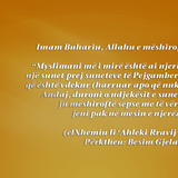 Indeksi ISLAM (74)