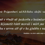 Të Ndryshme (72)