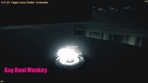 Gay Roof Monkey Acclamator.gif