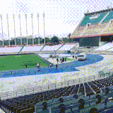 1685758854452.gif