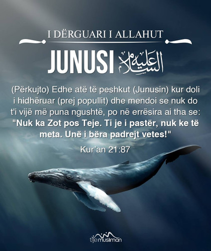 Misioni i të Dërguarve (4).jpg