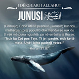 Misioni i të Dërguarve (4)