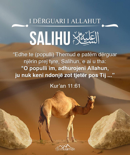 Misioni i të Dërguarve (5).jpg