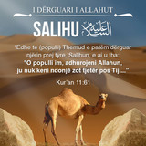 Misioni i të Dërguarve (5)