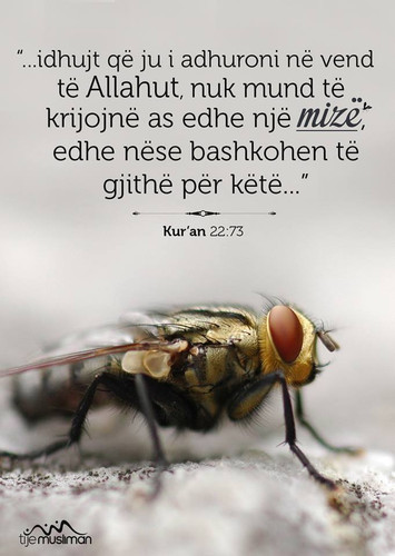 Ajete dhe Hadithe (115).jpg