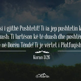 Ajete dhe Hadithe (135)