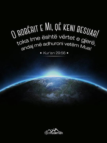 Ajete dhe Hadithe (118).jpg