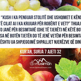 Ajete dhe Hadithe (190)