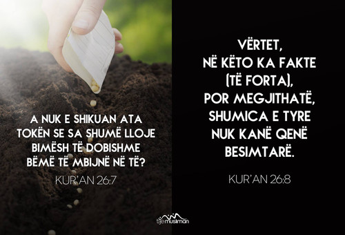 Ajete dhe Hadithe (162).jpg