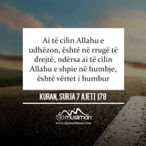 Ajete dhe Hadithe (180)