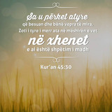 Ajete dhe Hadithe (200)