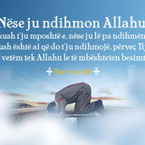 Ajete dhe Hadithe (196)