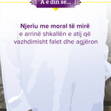 A e din se .... (23)