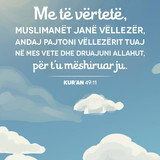 Ajete dhe Hadithe (16)