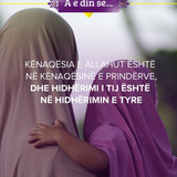 A e din se .... (24)