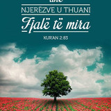 Ajete dhe Hadithe (8)