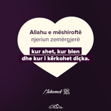 Ajete dhe Hadithe (12)