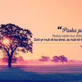 Ajete dhe Hadithe (384)