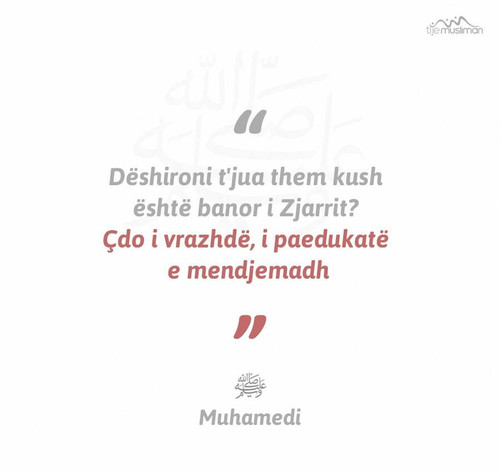 Ajete dhe Hadithe (376).jpg