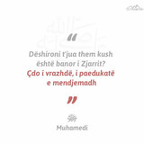 Ajete dhe Hadithe (376)