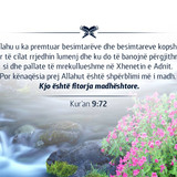 Ajete dhe Hadithe (379)