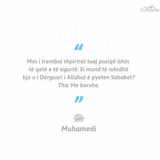 Ajete dhe Hadithe (410)