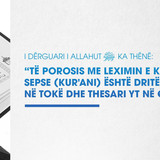Ajete dhe Hadithe (403)