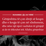 Ajete dhe Hadithe (399)