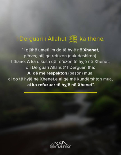 Ajete dhe Hadithe (210).jpg