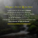 Ajete dhe Hadithe (210)