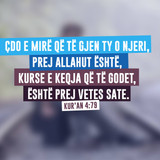 Ajete dhe Hadithe (239)