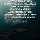 Ajete dhe Hadithe (204)